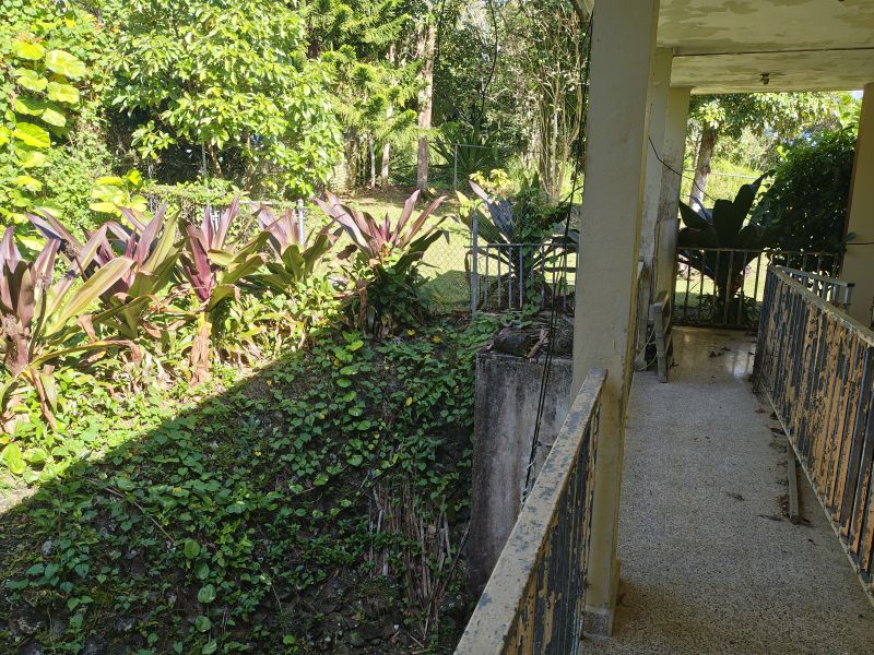 Barrio Cubuy Sector Ava Flores Carr 186 Km.hm 9.6 Canovanas 00729 PR