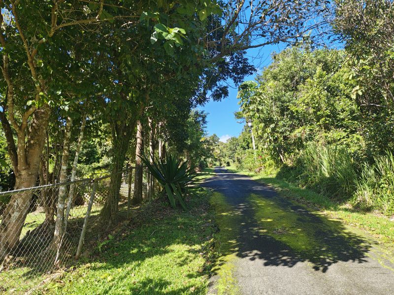 Barrio Cubuy Sector Ava Flores Carr 186 Km.hm 9.6 Canovanas 00729 PR