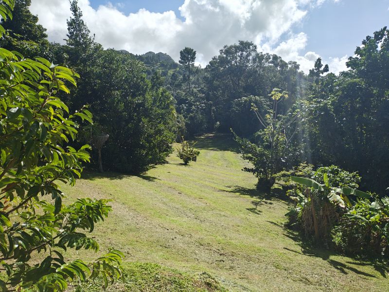 Barrio Cubuy Sector Ava Flores Carr 186 Km.hm 9.6 Canovanas 00729 PR