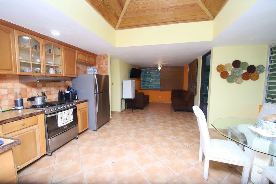 Carr 173 Km 3.6 Montellano Sector Carruzo Cidra 00739 PR