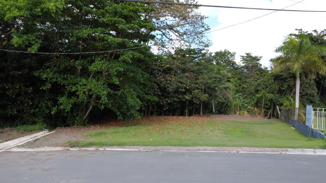Bo Carraizo Lote 4 Carr 845 Km.hm 7.5 Trujillo Alto 00976 PR