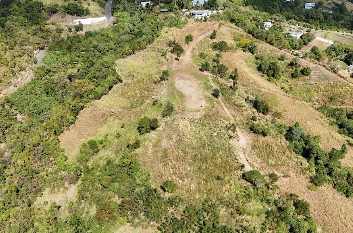 Bo Vacas Carr 561 16 Cuerdas Villalba 00766 PR