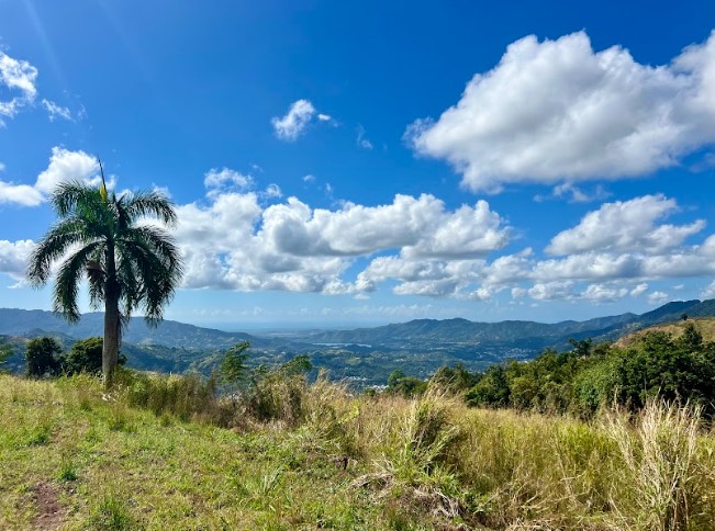 Bo Vacas Carr 561 16 Cuerdas Villalba 00766 PR