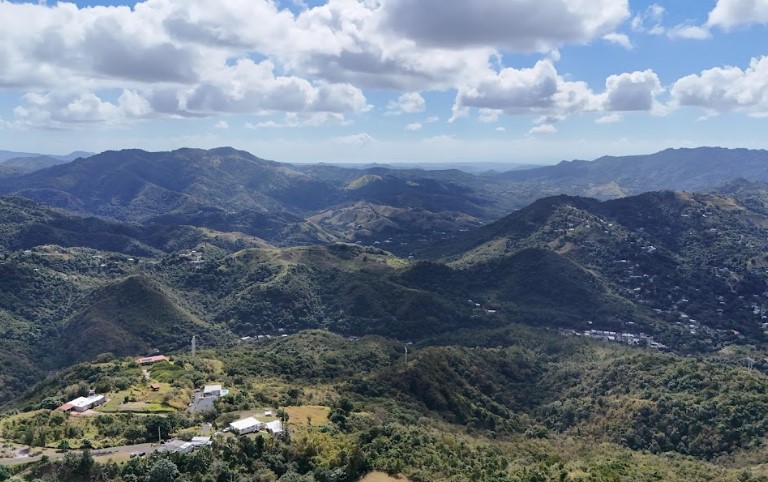 Bo Vacas Carr 561 16 Cuerdas Villalba 00766 PR