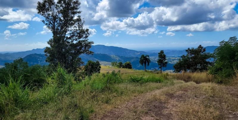 Bo Vacas Carr 561 16 Cuerdas Villalba 00766 PR