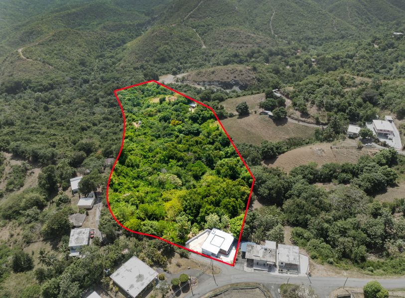 Pr 371 Km 2.0 Int Bo Almacigo Alto Wd, Yauco - 18