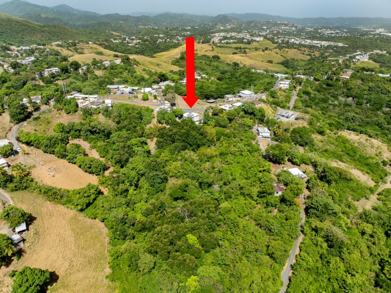 Pr 371 Km 2.0 Int Bo Almacigo Alto Wd, Yauco - 17
