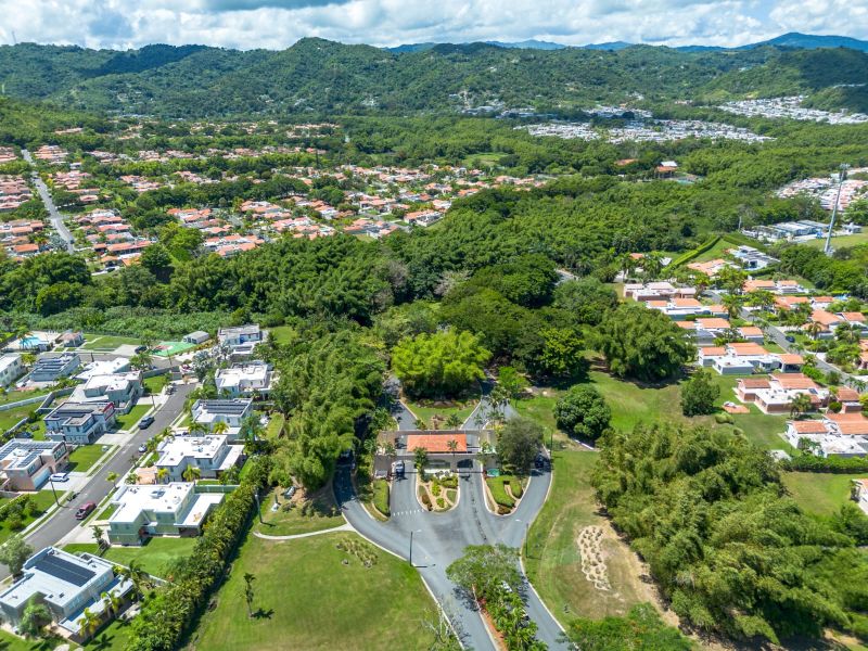 Camino De Los Bucares #52a, Gurabo - 10
