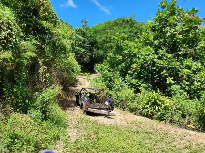 Bo Planas Pr 476 Isabela 00662 PR