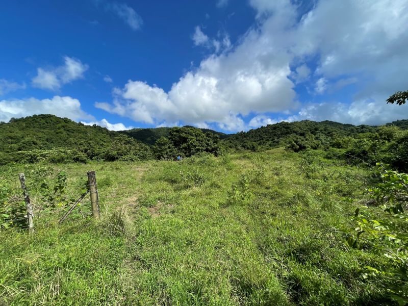 Lot 5 Carr 31 Km 19.6 Int Caimito Ward Juncos 00777 PR