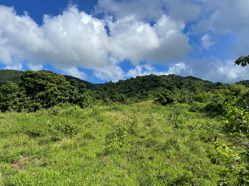 Lot 5 Carr 31 Km 19.6 Int Caimito Ward Juncos 00777 PR