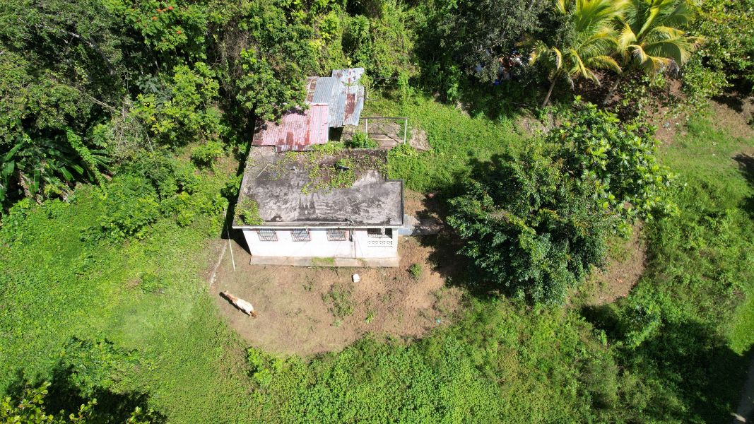 Sector Sabana Hoyos Bo Montaña Arecibo 00612 PR