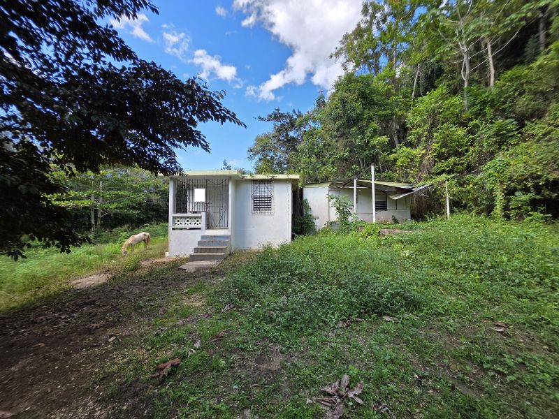 Sector Sabana Hoyos Bo Montaña Arecibo 00612 PR