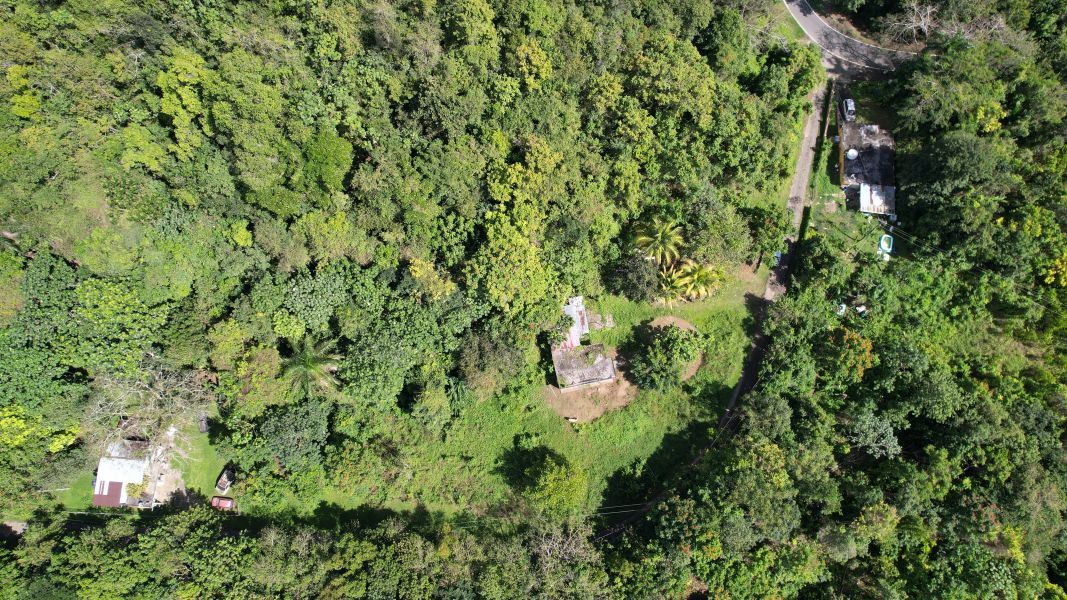 Sector Sabana Hoyos Bo Montaña Arecibo 00612 PR