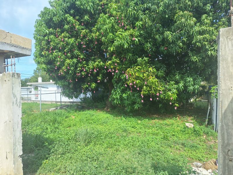 Bo Puente Jobos Comunidad Santa Ana Calle D Casa 1, Guayama - 14