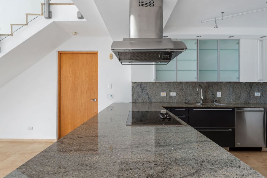 Cond Parque De Loyola Apt Ph 2402 San Juan 00918 PR