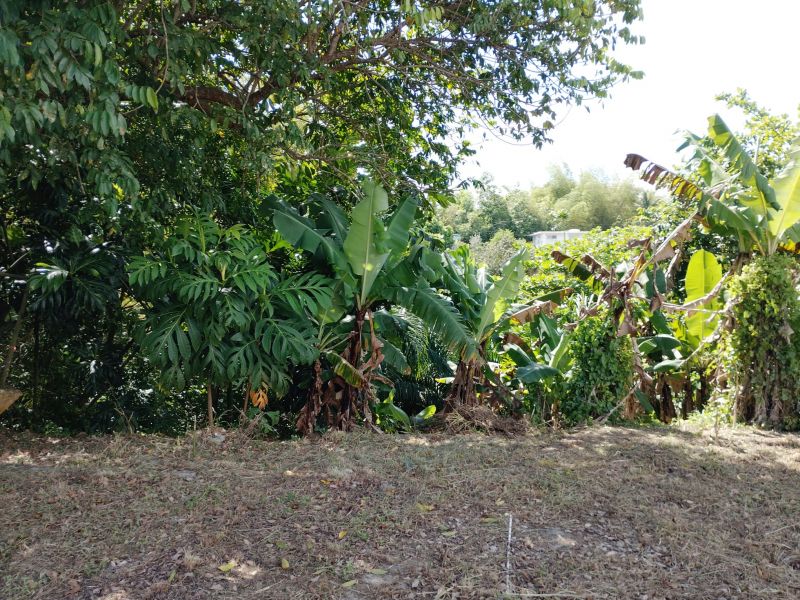 Carr 831 Km 4.4 Minillas Lote C Bayamon 00957 PR