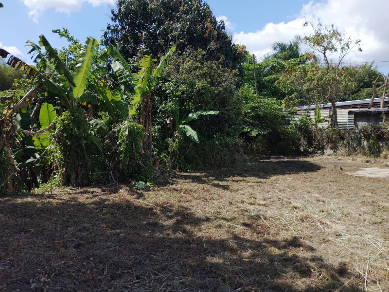 Carr 831 Km 4.4 Minillas Lote C Bayamon 00957 PR