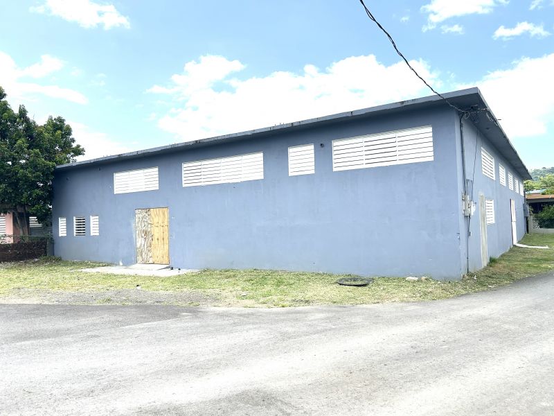 Bo Playa Añasco Calle Robles Anasco 00610 PR