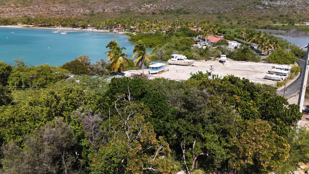 Carr 330 Km 6.7 Sector San Jacinto Bo Carenero Guanica 00653 PR