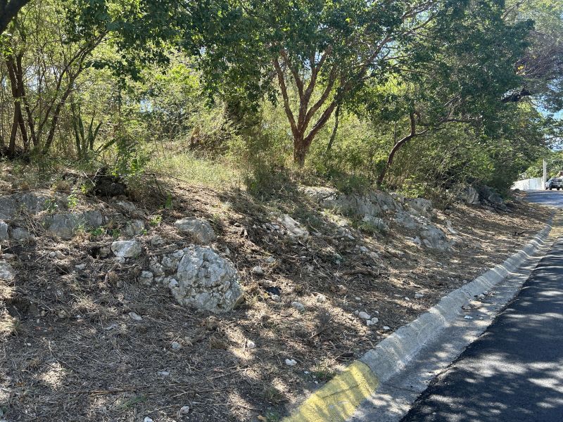 Carr 330 Km 6.7 Sector San Jacinto Bo Carenero Guanica 00653 PR