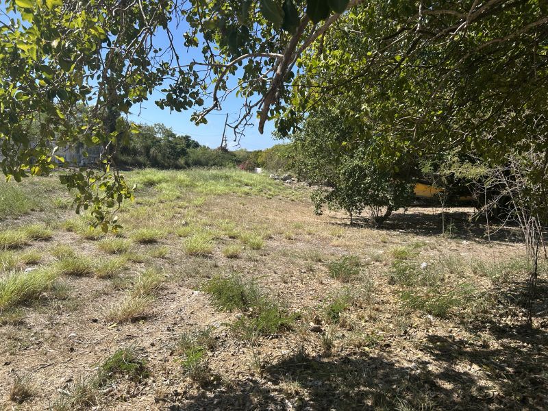 Carr 330 Km 6.7 Sector San Jacinto Bo Carenero Guanica 00653 PR