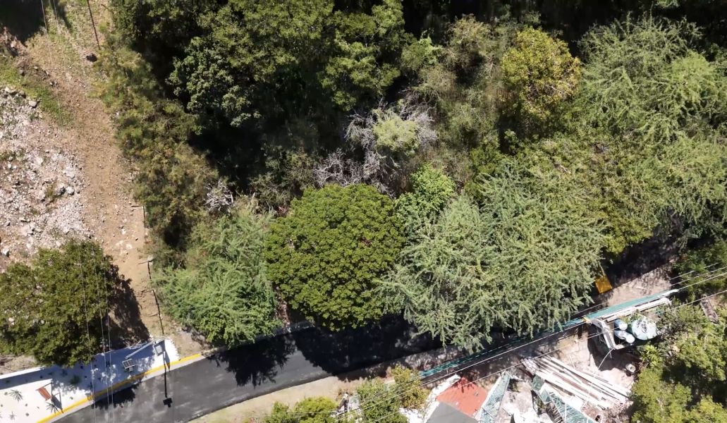 Carr 330 Km 6.7 Sector San Jacinto Bo Carenero Guanica 00653 PR