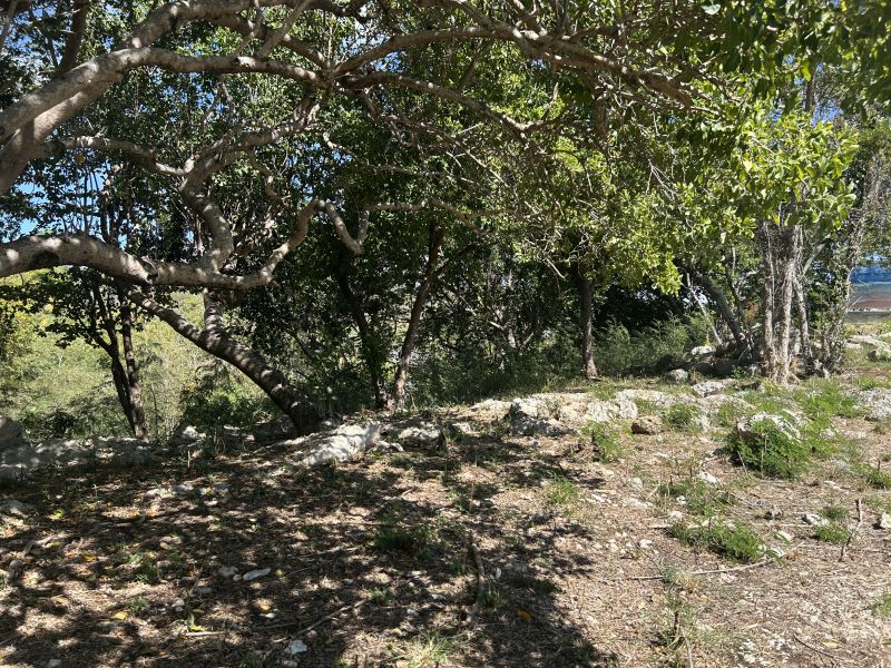 Carr 330 Km 6.7 Sector San Jacinto Bo Carenero Guanica 00653 PR