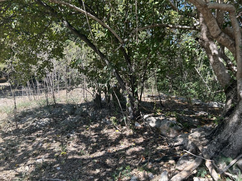 Carr 330 Km 6.7 Sector San Jacinto Bo Carenero Guanica 00653 PR