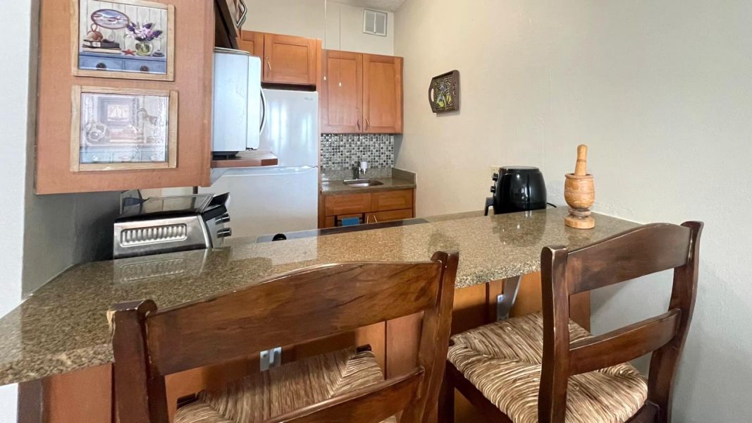 Condominio Playamar Calle Amapola #1 Apt Ga Carolina 00979 PR