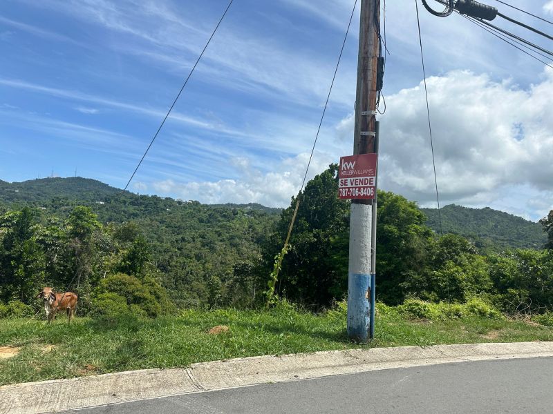 Bo Mamey 1 Carr 835 Parcela K Guaynabo 00971 PR