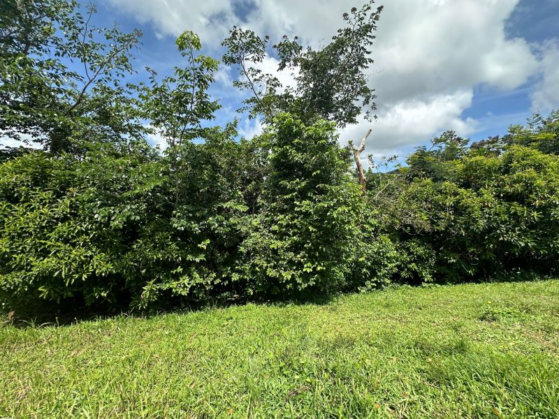 Bo Mamey 1 Carr 835 Parcela K Guaynabo 00971 PR