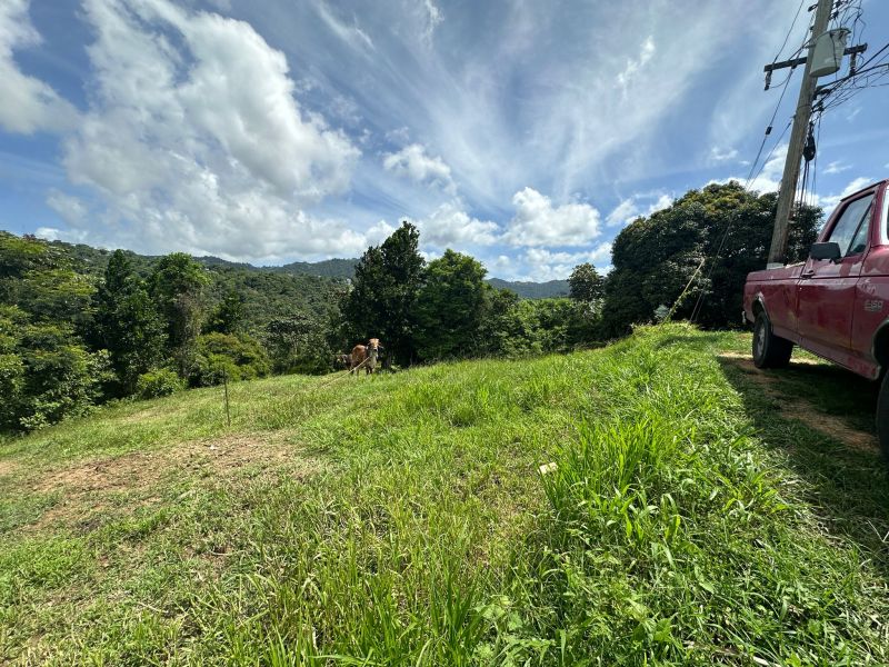 Bo Mamey 1 Carr 835 Parcela K Guaynabo 00971 PR