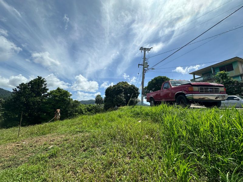 Bo Mamey 1 Carr 835 Parcela K Guaynabo 00971 PR