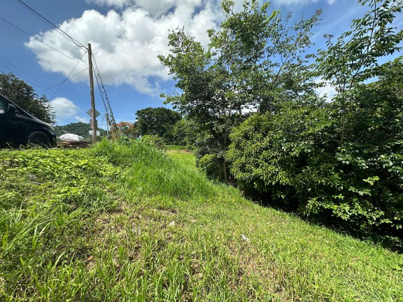 Bo Mamey 1 Carr 835 Parcela K Guaynabo 00971 PR