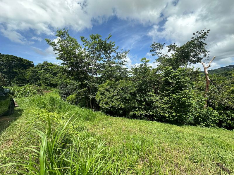 Bo Mamey 1 Carr 835 Parcela K, Guaynabo - 2