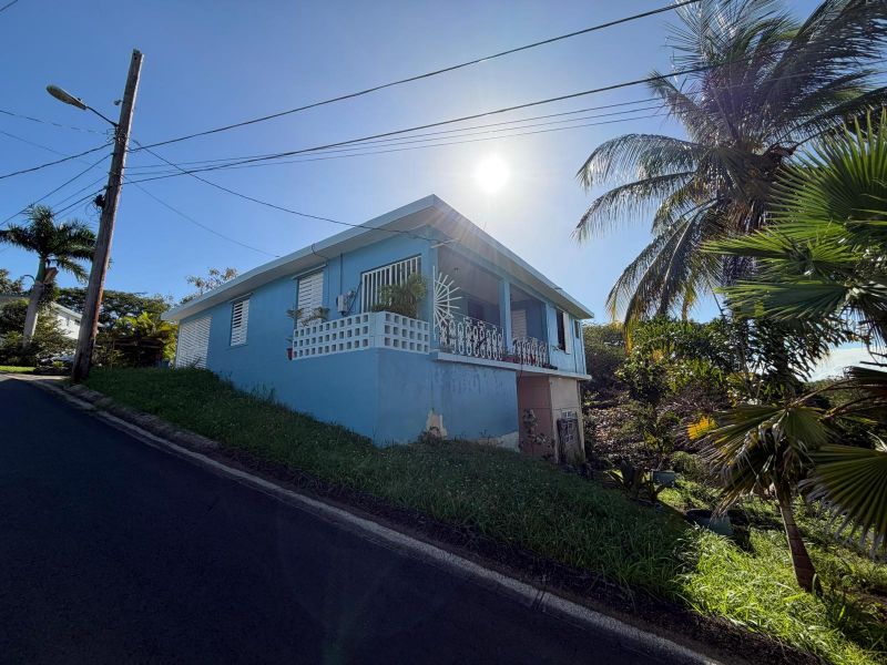 Bo Minillas Carr Sr 831 Km 4.0, Bayamon - 1