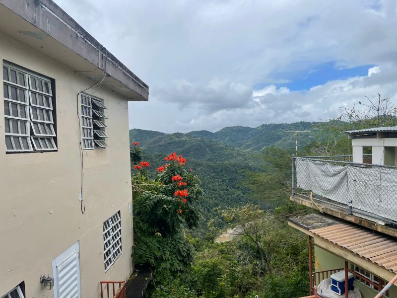 Bo Piñas Carr 775 Km 3.5 Comerio 00782 PR