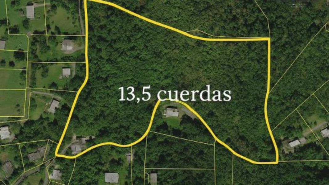 Carr 160 Km 9.8 Int. Bo Almirante Sur Vega Baja 00693 PR