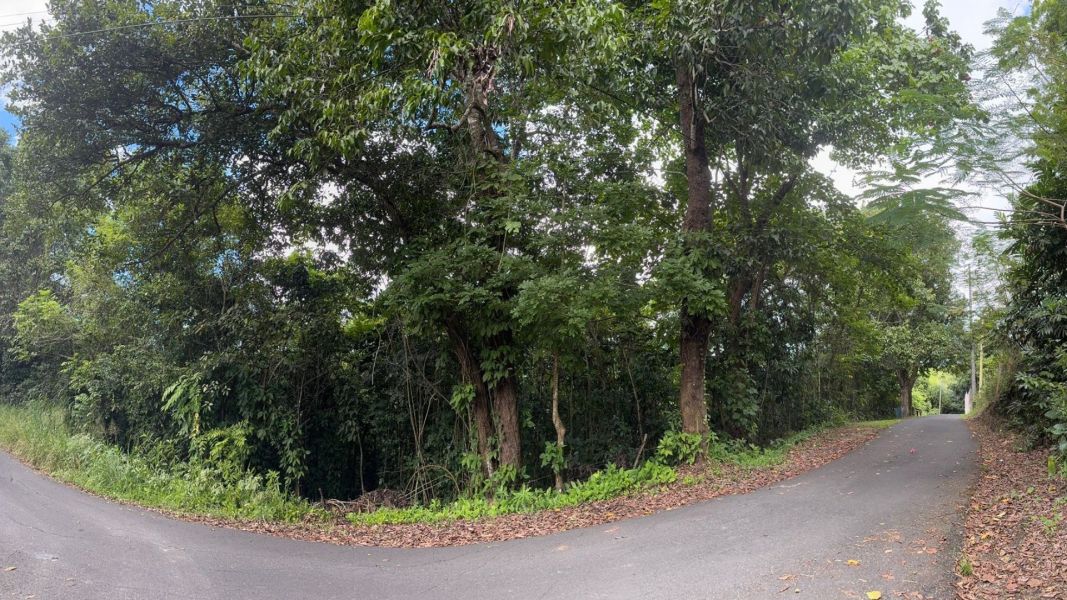 Carr 160 Km 9.8 Int. Bo Almirante Sur Vega Baja 00693 PR