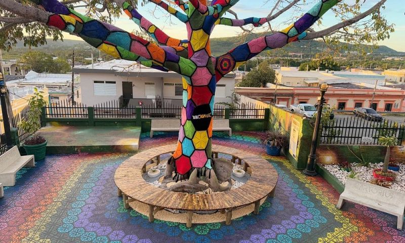 Calle Pacheco Bo Pueblo Yauco 00698 PR