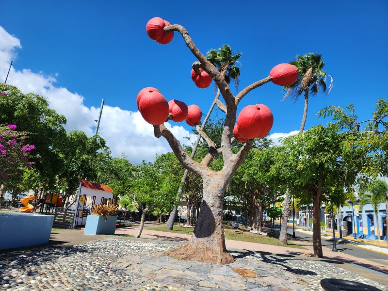 Calle Pacheco Bo Pueblo Yauco 00698 PR