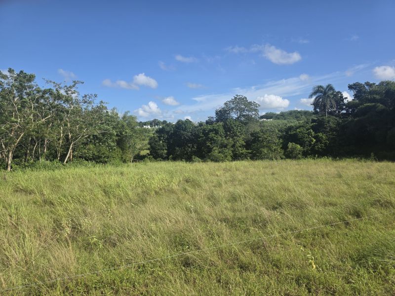 Carr 308 Km 5.8 Int Bo Miradero Cabo Rojo 00623 PR