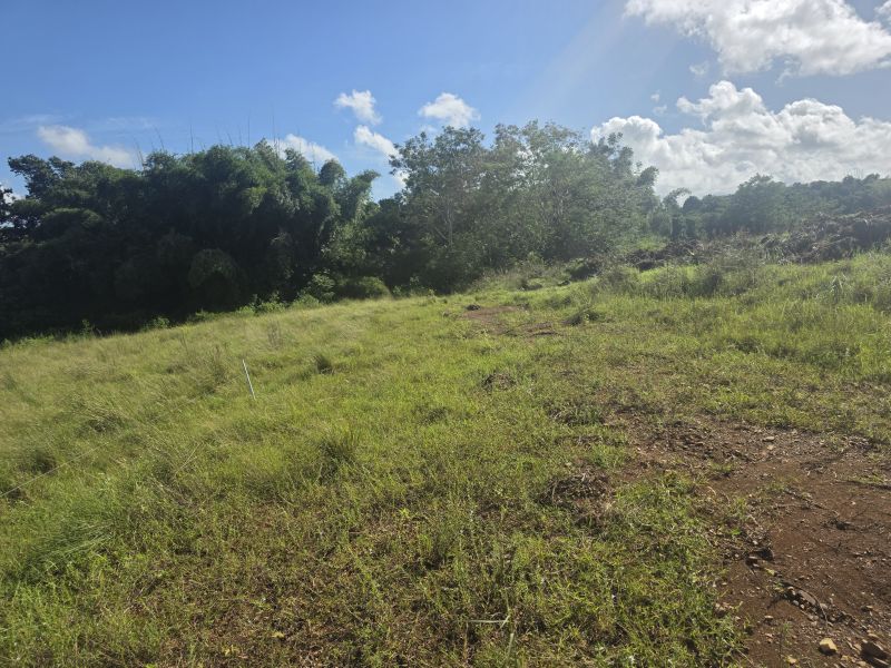 Carr 308 Km 5.8 Int Bo Miradero Cabo Rojo 00623 PR