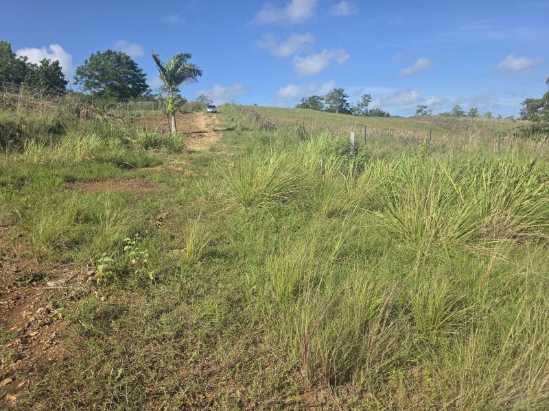 Carr 308 Km 5.8 Int Bo Miradero Cabo Rojo 00623 PR