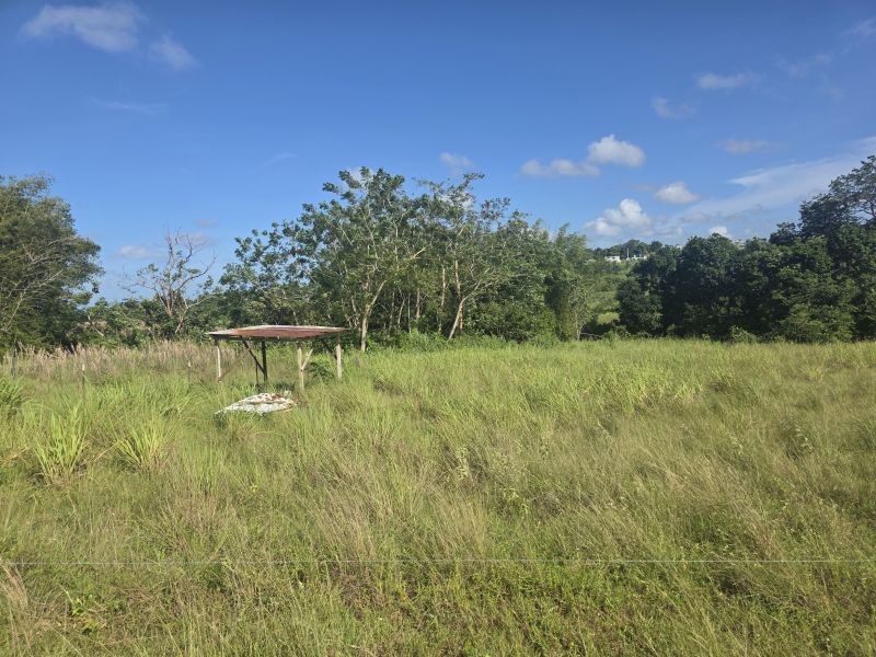 Carr 308 Km 5.8 Int Bo Miradero Cabo Rojo 00623 PR