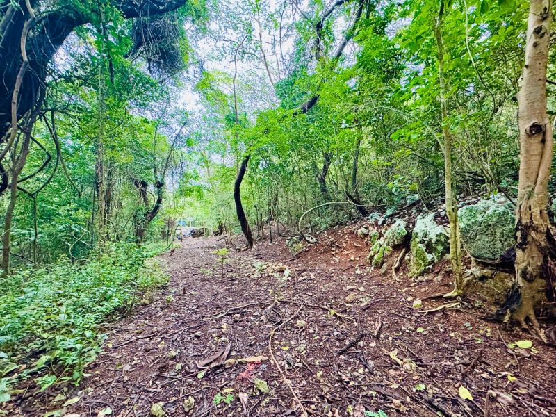 Bo Manati Abajo Sector Angostura Solar 15 Barceloneta 00617 PR