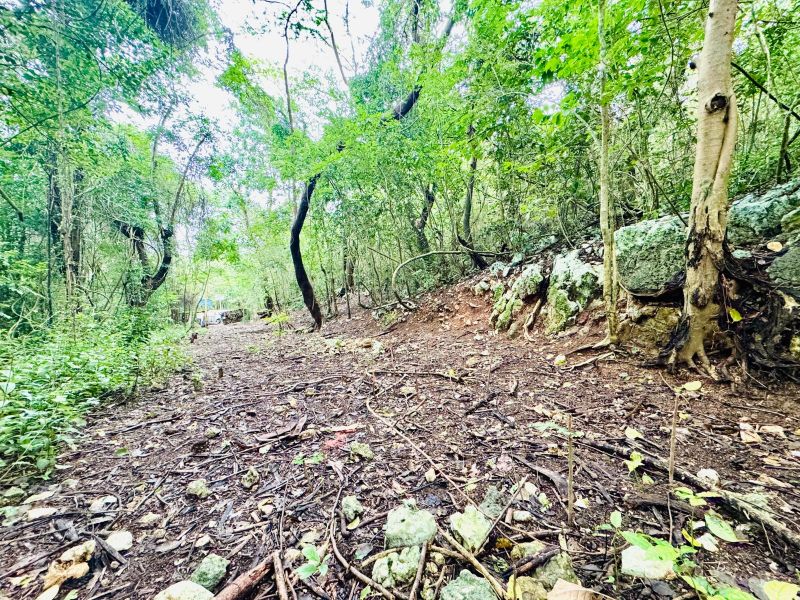 Bo Manati Abajo Sector Angostura Solar 15 Barceloneta 00617 PR