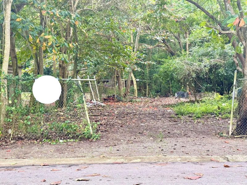 Bo Manati Abajo Sector Angostura Solar 15 Barceloneta 00617 PR