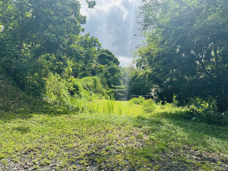 Bo Minillas Sector Pepe Torres Lote #5 Bayamon 00956 PR